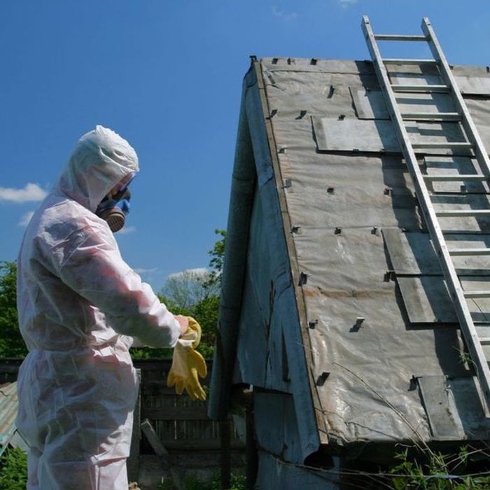 A Look at Our Lead Abatement Services ProKlean